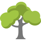 Woodinville Tree Removal Service