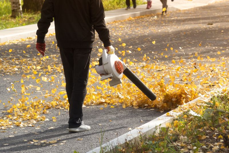 Leaf Blowing