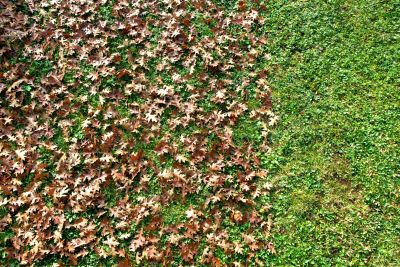 Clean Outdoor Spaces