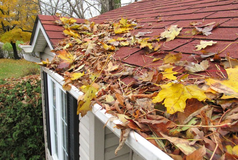 Property Maintenance