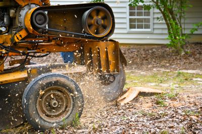 Stump Grinding After Removal