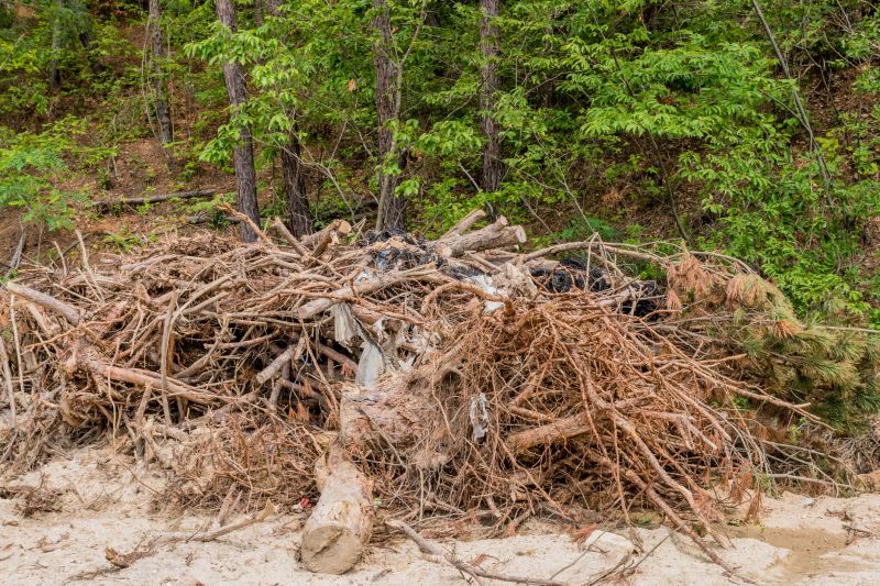 Site Cleanup Post-Removal